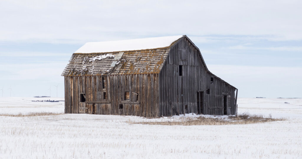Old weathered barn in a snowy field, showcasing potential reclaimed wood materials amidst a backdrop of distant wind turbines.
